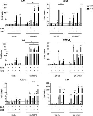 Ethylhexadecyldimethylammonium bromide, a quaternary ammonium compound, controls inflammatory response through NRF2 pathway in a human immortalized keratinocyte cell line